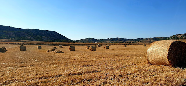 Merhaba Sonbahar! (Hermann Hesse’ye&nbsp;Saygı)
