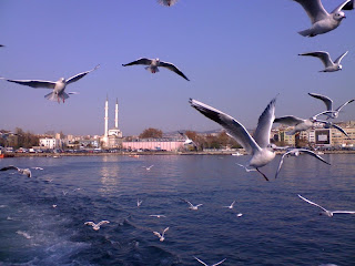 Leşçil olan, akbaba değil! Önyargılar ve&nbsp;Şekilcilik
